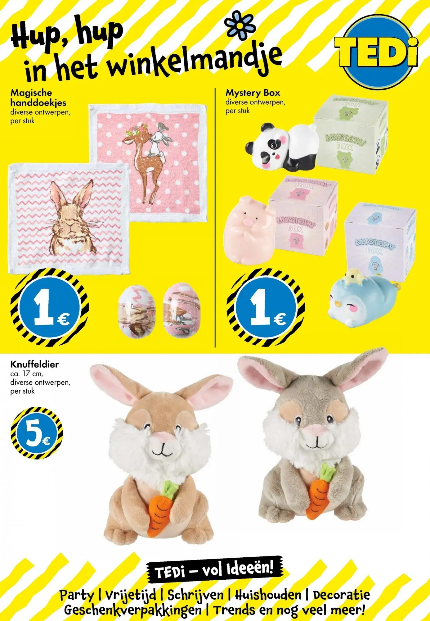 TEDi - TEDi folder  vanaf 04/03/2026 | Pagina: 12 | Producten: Box