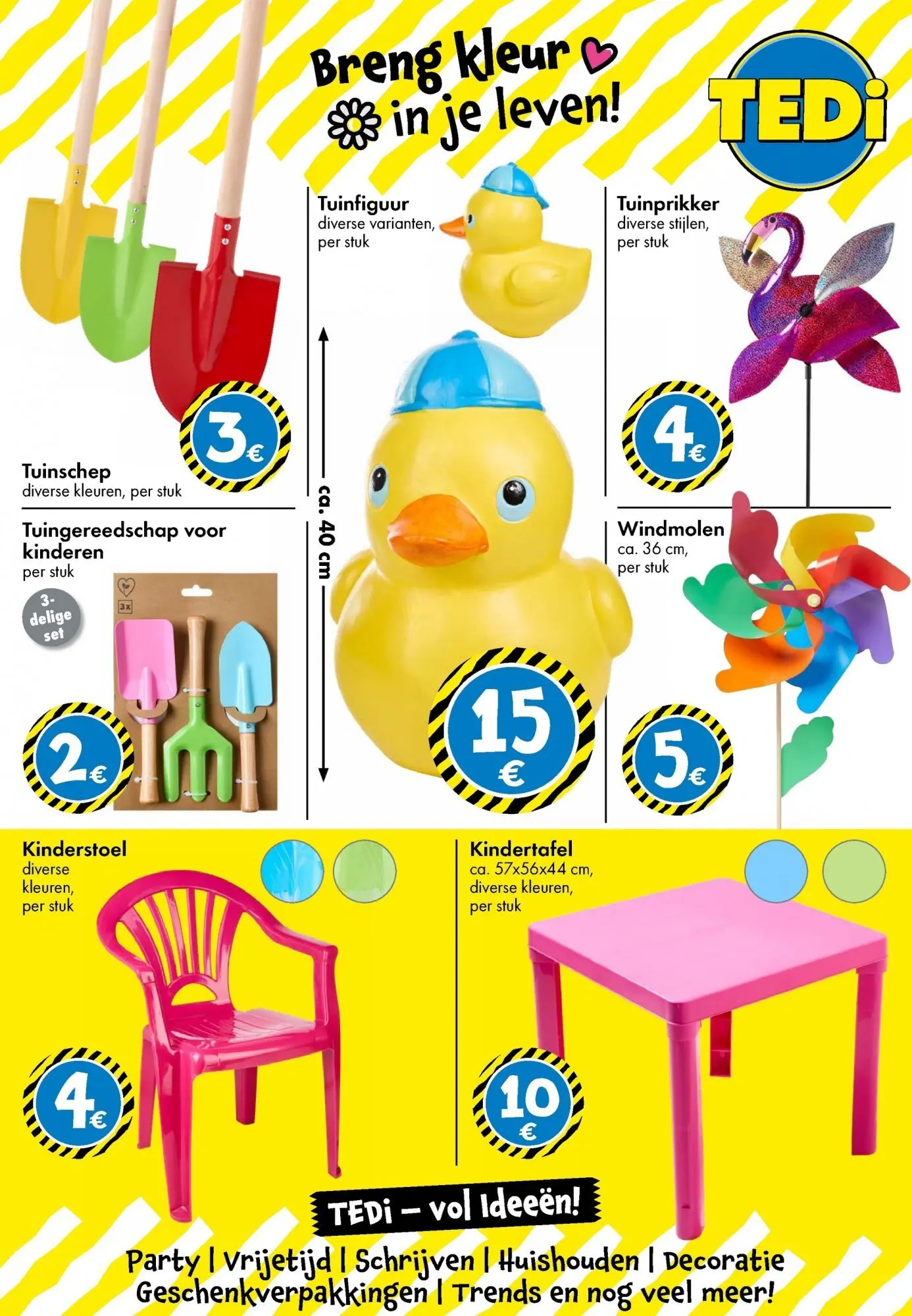 TEDi - TEDi folder  vanaf 04/03/2026 | Pagina: 31