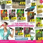 Hobby & Legno Le tue piante ne hanno proprio bisogno! - al 21.03.2026