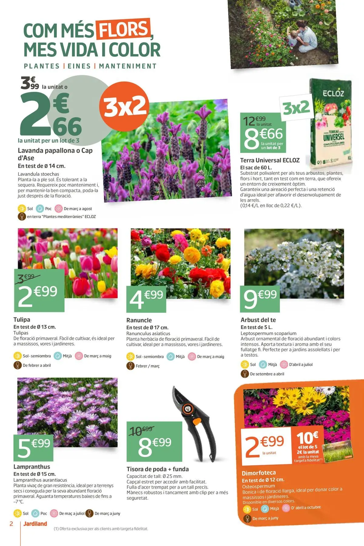 Jardiland - La natura et queda bé. 05/03/2026 - 15/03/2026 | Página: 2 | Productos: Té, Mac, Funda