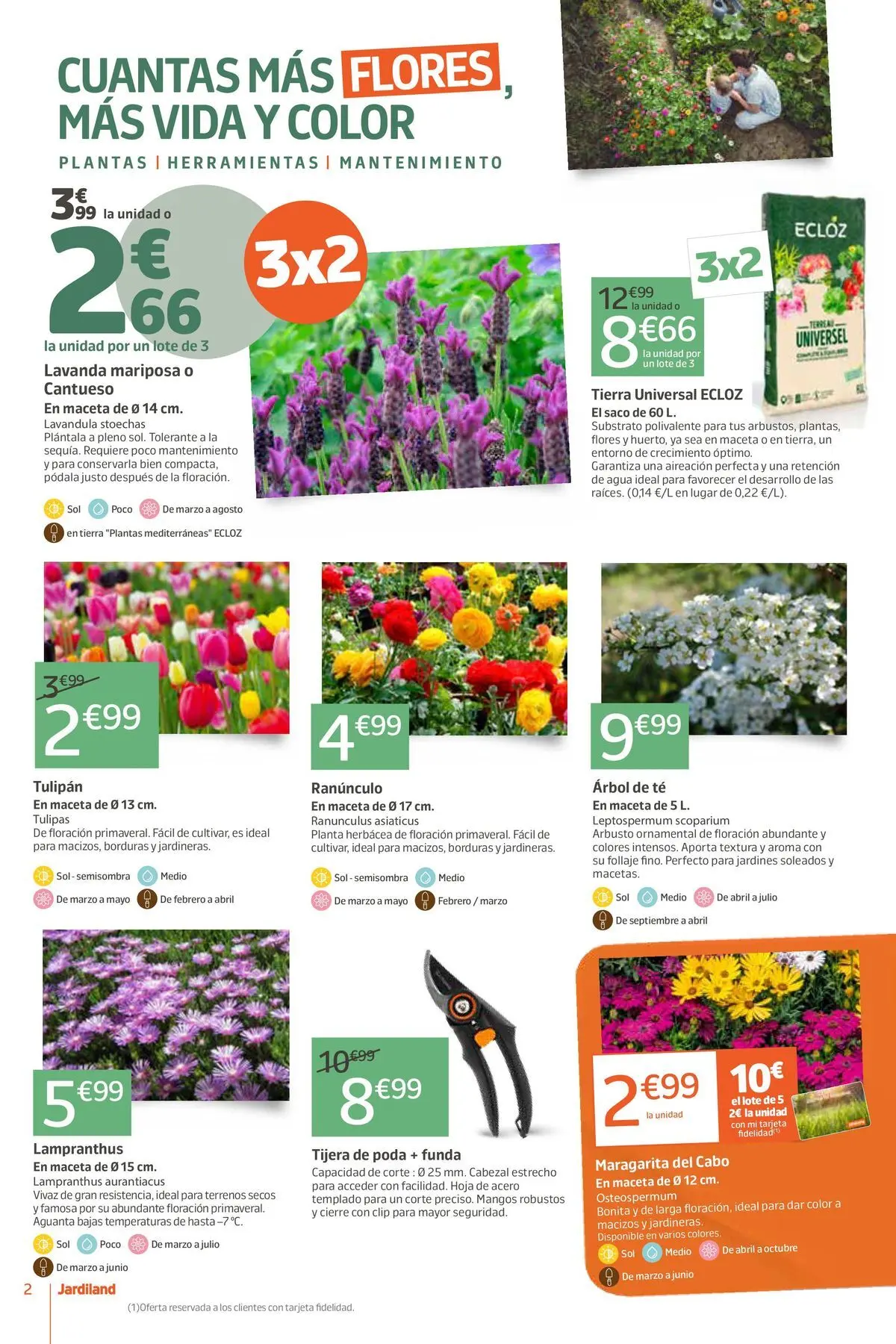 Jardiland - La naturaleza te sienta bien. 05/03/2026 - 15/03/2026 | Página: 2 | Productos: Tijera de poda, Té, Funda, Maceta