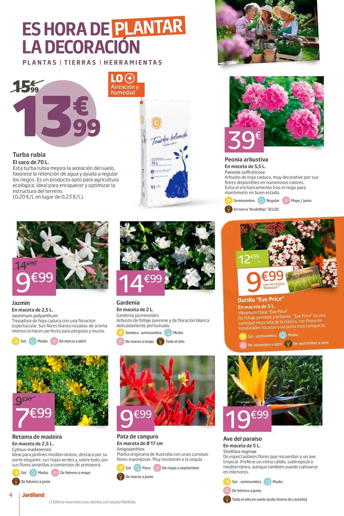 Jardiland - La naturaleza te sienta bien. 05/03/2026 - 15/03/2026 | Página: 4 | Productos: Sombra, Maceta