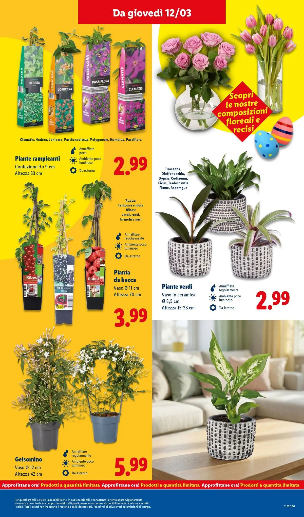 LIDL volantino della prossima settimana dal ﻿08/03/2026﻿ 📣 | Pagina: 37