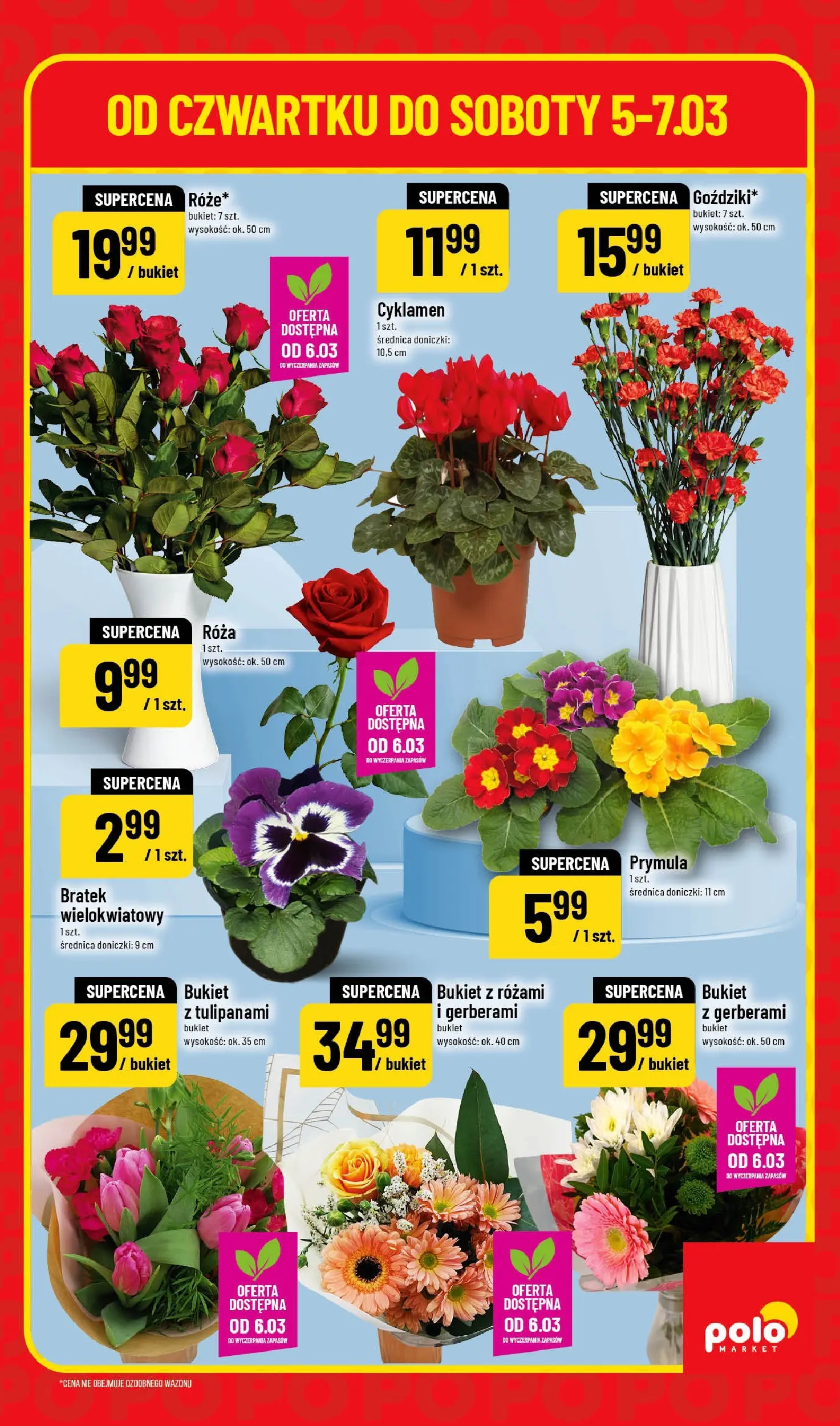 Nowa POLOmarket gazetka od jutra 05.03.2026 (PDF) | Strona: 3 | Produkty: Doniczki