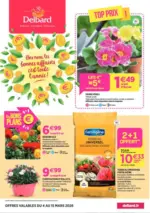 Delbard Top prix ! - au 15.03.2026