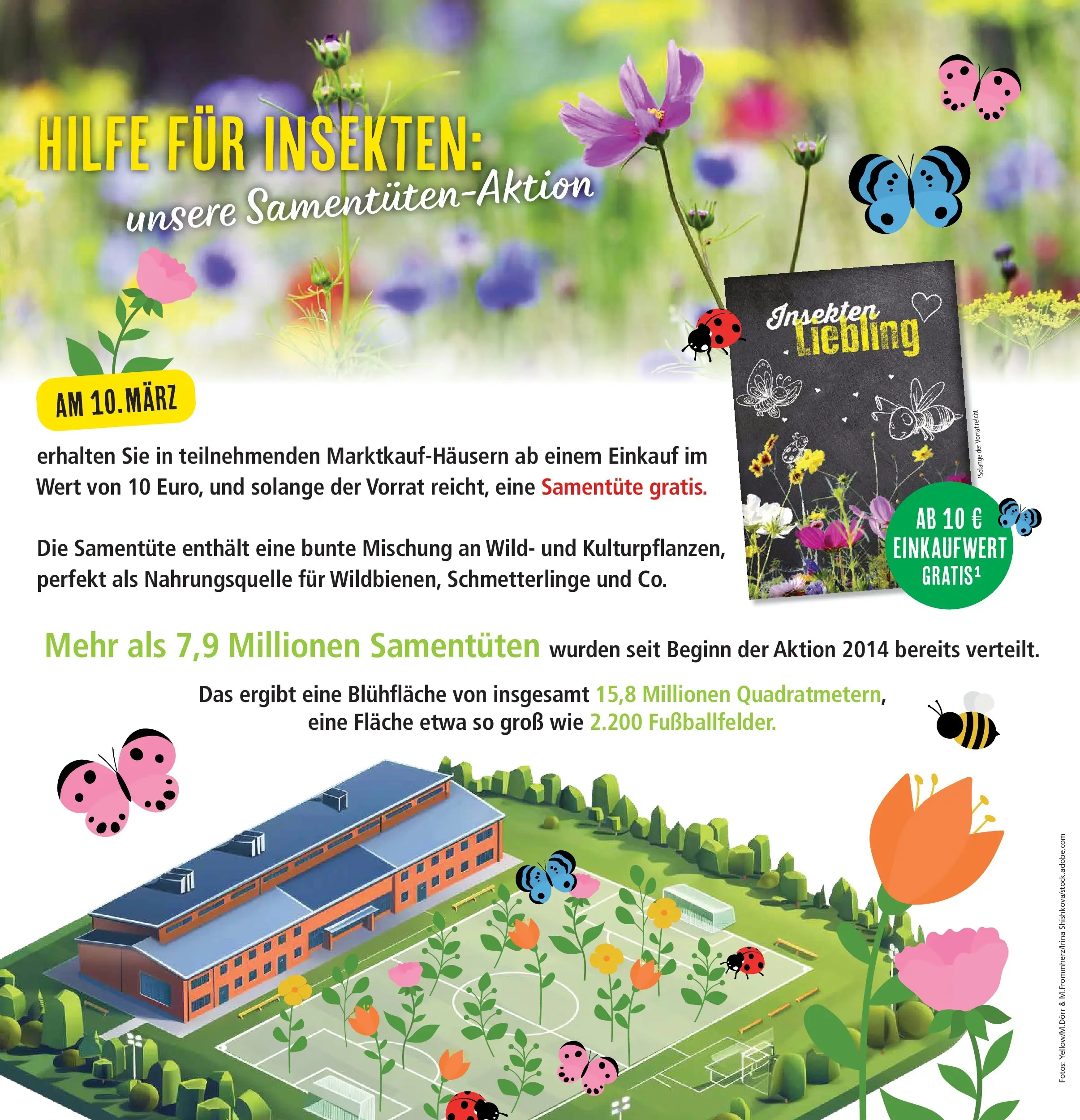 Marktkauf Prospekt Weil Am Rhein (ab 09.03.2026) » Angebote online | Seite: 6