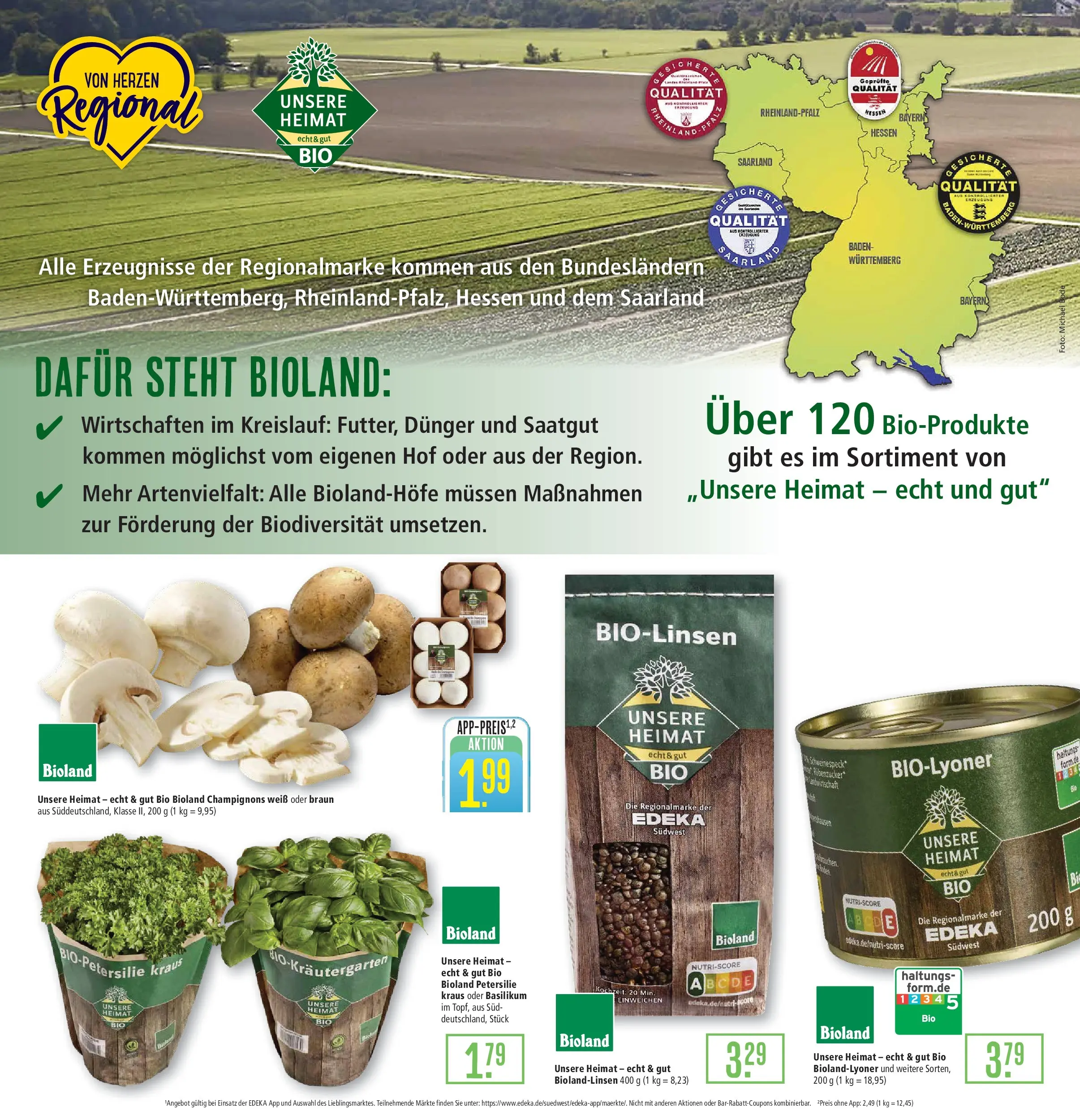 Marktkauf Prospekt Weil Am Rhein (ab 09.03.2026) » Angebote online | Seite: 9 | Produkte: Champignons, Petersilie