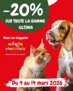 M&eacute;dor et Compagnie Leurs recettes incontournables - au 14.03.2026