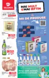 Catalog Selgros p&acirc;nă &icirc;n data de 19.03.2026