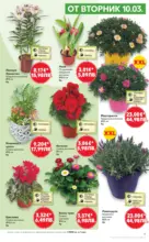 Kaufland хипермаркет Вземи повече, спести повече с Kaufland предложения валидни до 15.03.2026 - до 15-03-26