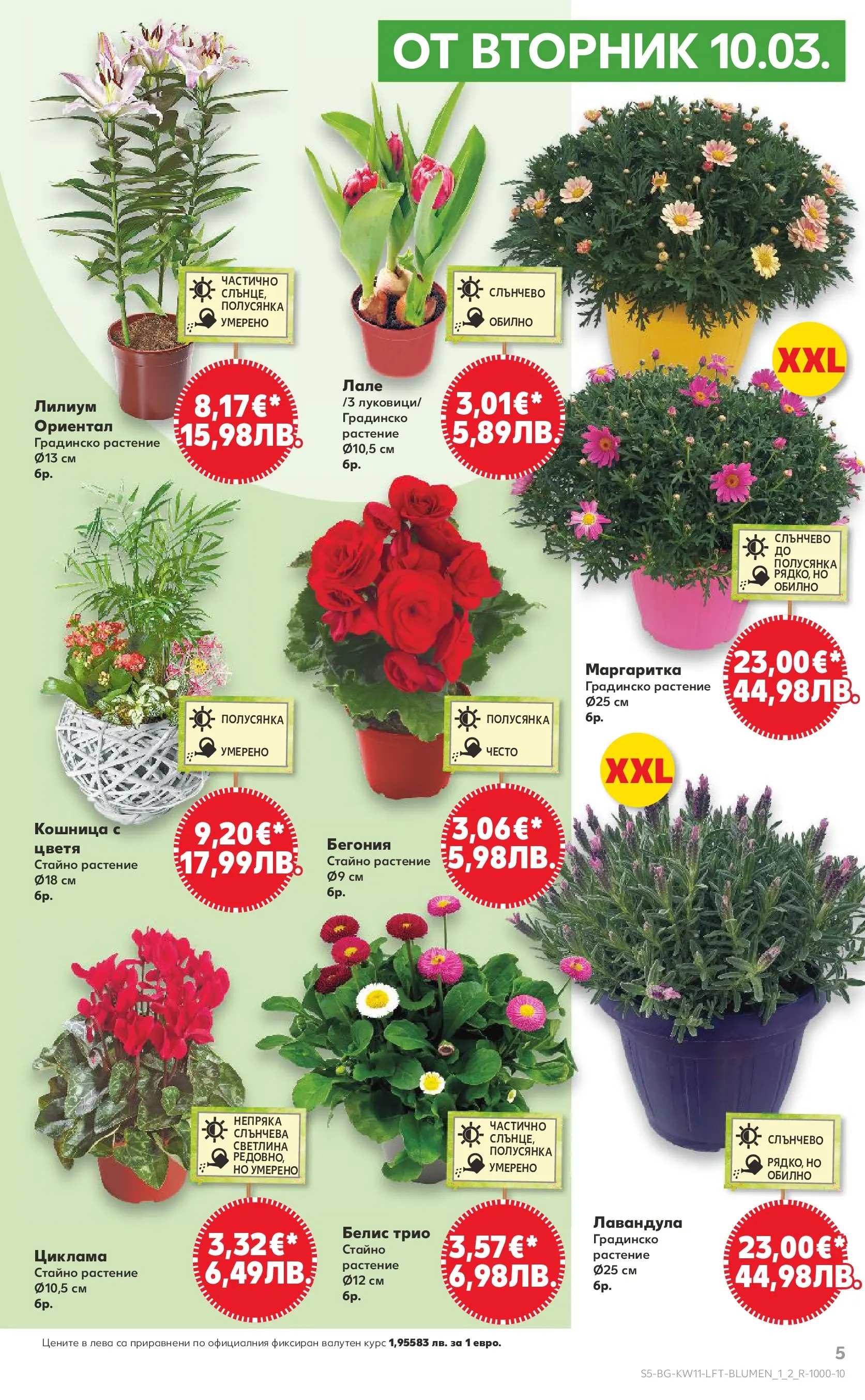 Нова Кауфланд - Вземи повече, спести повече с Kaufland предложения валидни до 15.03.2026 от 08.03.2026 | Страница: 5 | Продукти: Кошница