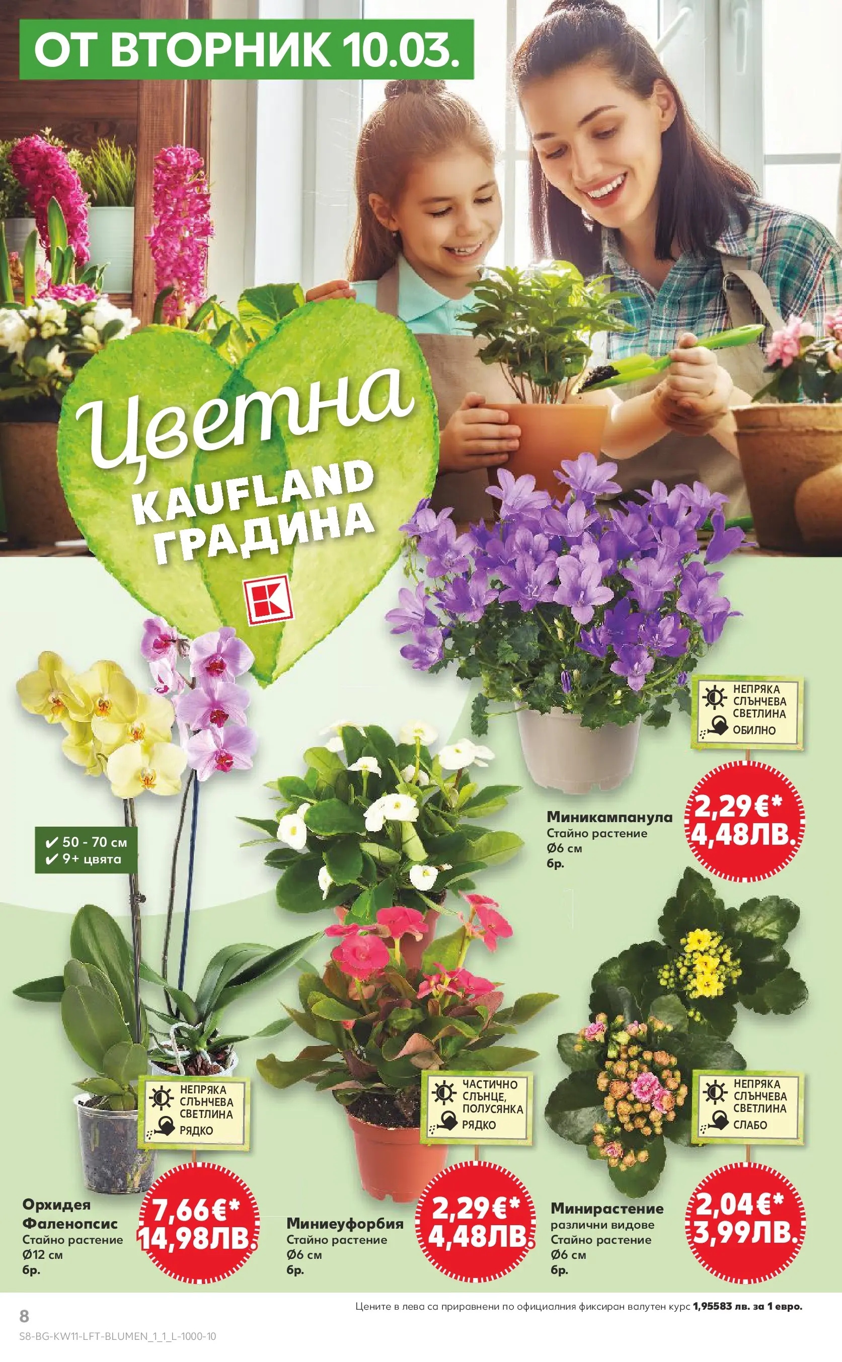 Нова Кауфланд - Вземи повече, спести повече с Kaufland предложения валидни до 15.03.2026 от 08.03.2026 | Страница: 8 | Продукти: Орхидея