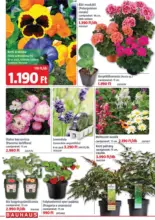 Bauhaus &uacute;js&aacute;g &eacute;rv&eacute;nyess&eacute;ge 2026.03.31-ig