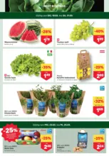 MPREIS: Flugblatt Tirol