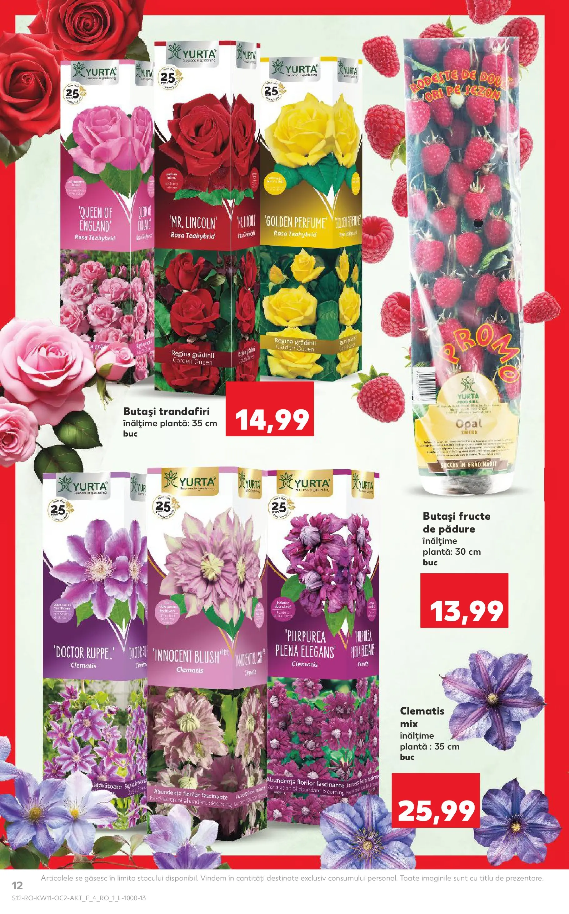 Kaufland Deva 10.03.2026 - Revista si Oferta | Pagină: 12 | Produse: Fructe