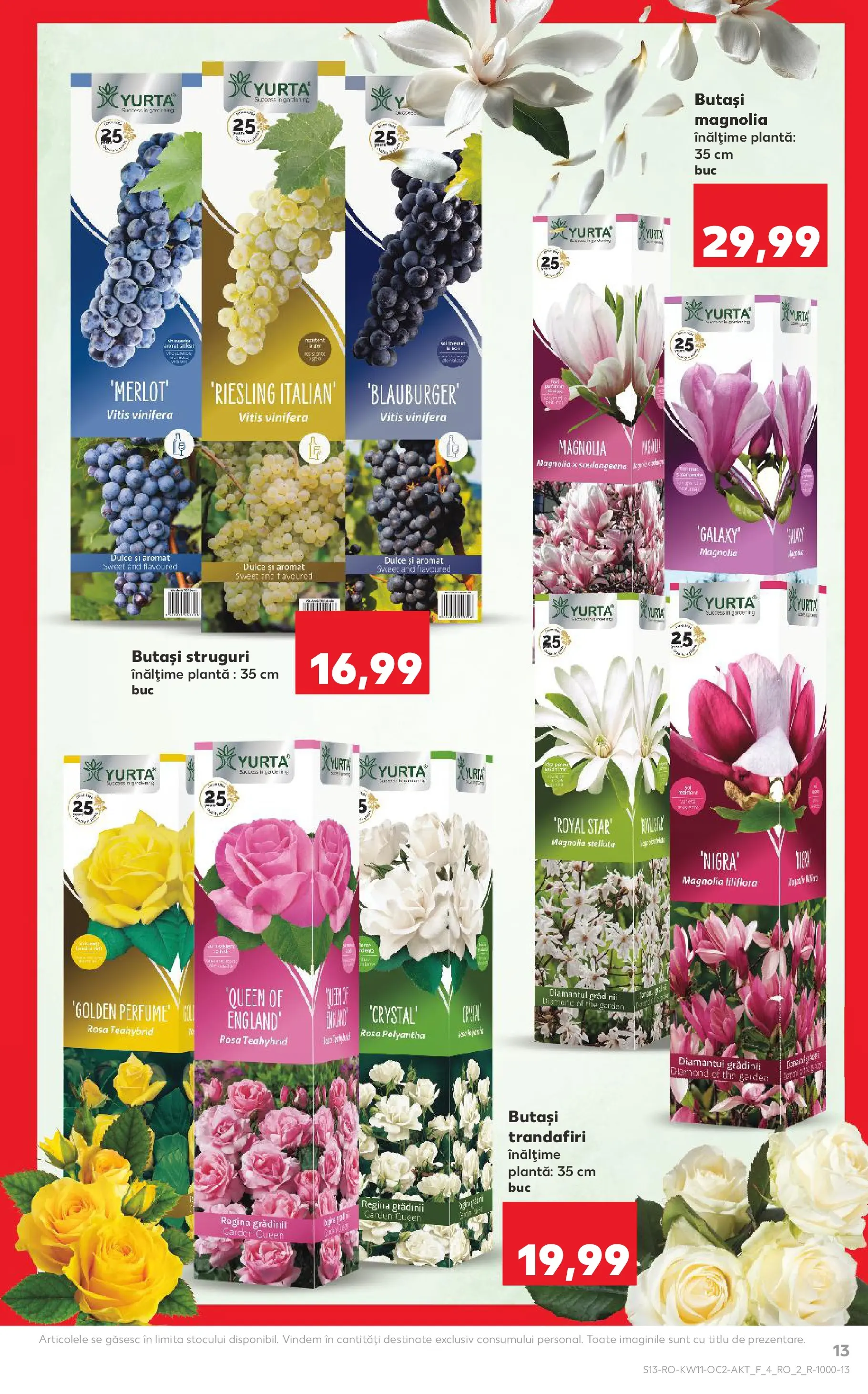 Kaufland Deva 10.03.2026 - Revista si Oferta | Pagină: 13 | Produse: Struguri