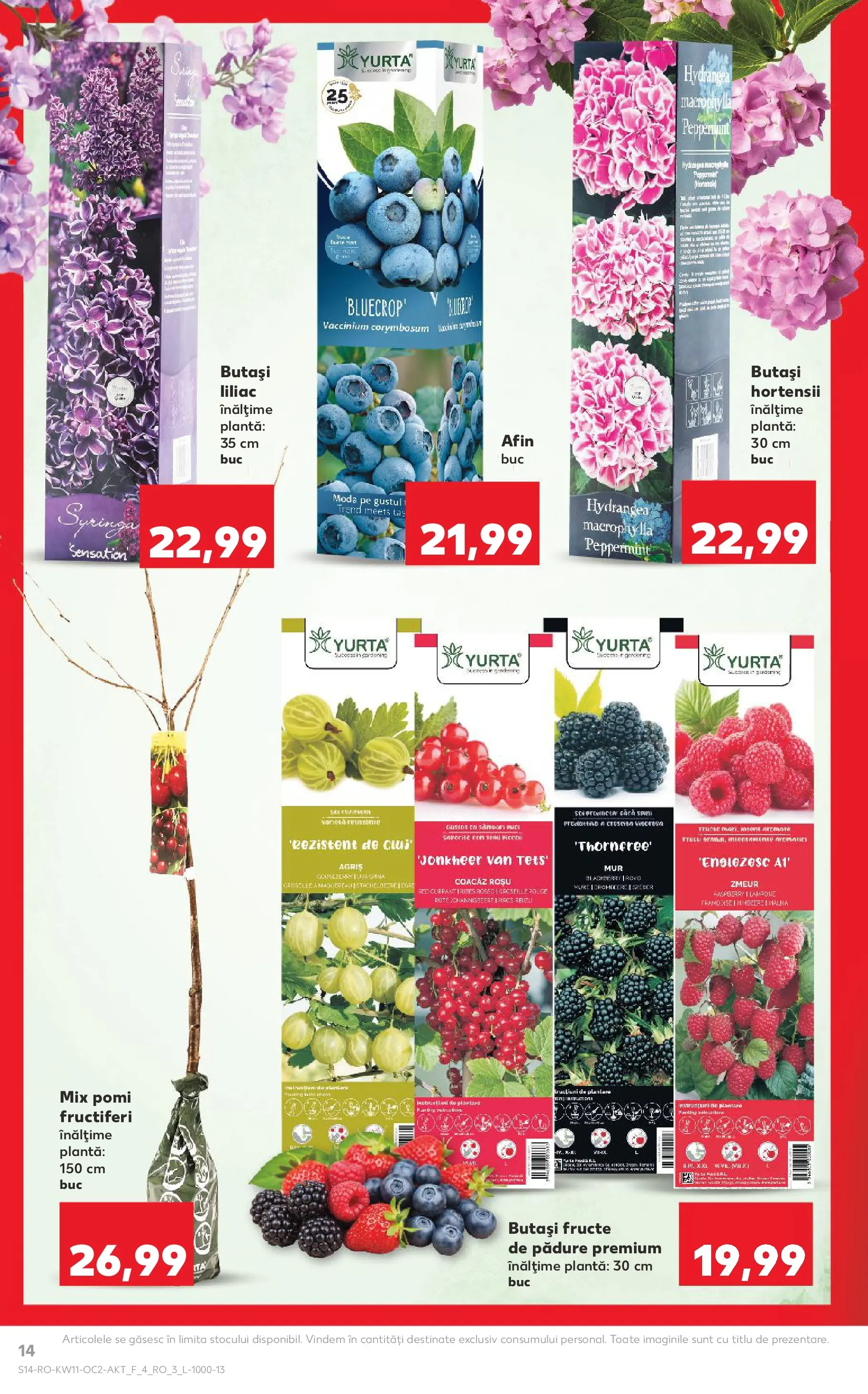 Kaufland Deva 10.03.2026 - Revista si Oferta | Pagină: 14 | Produse: Fructe