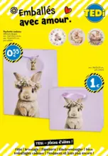 TEDi - pleins d'id&eacute;es