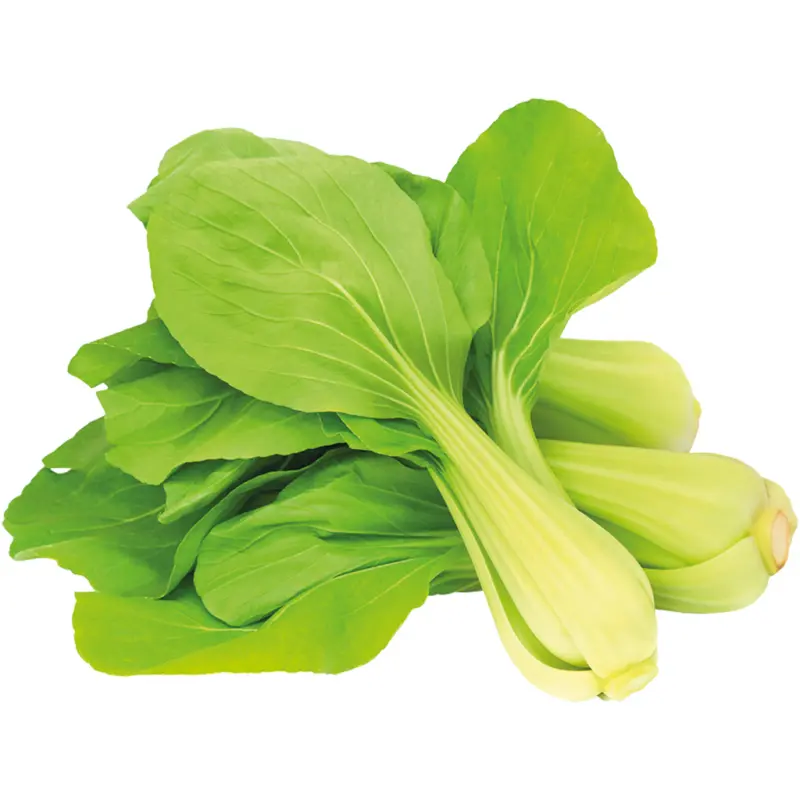 Salat - Pak Choi