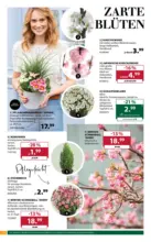 Dehner Hohenems Dehner: Garten & Zoo - bis 16.03.2026
