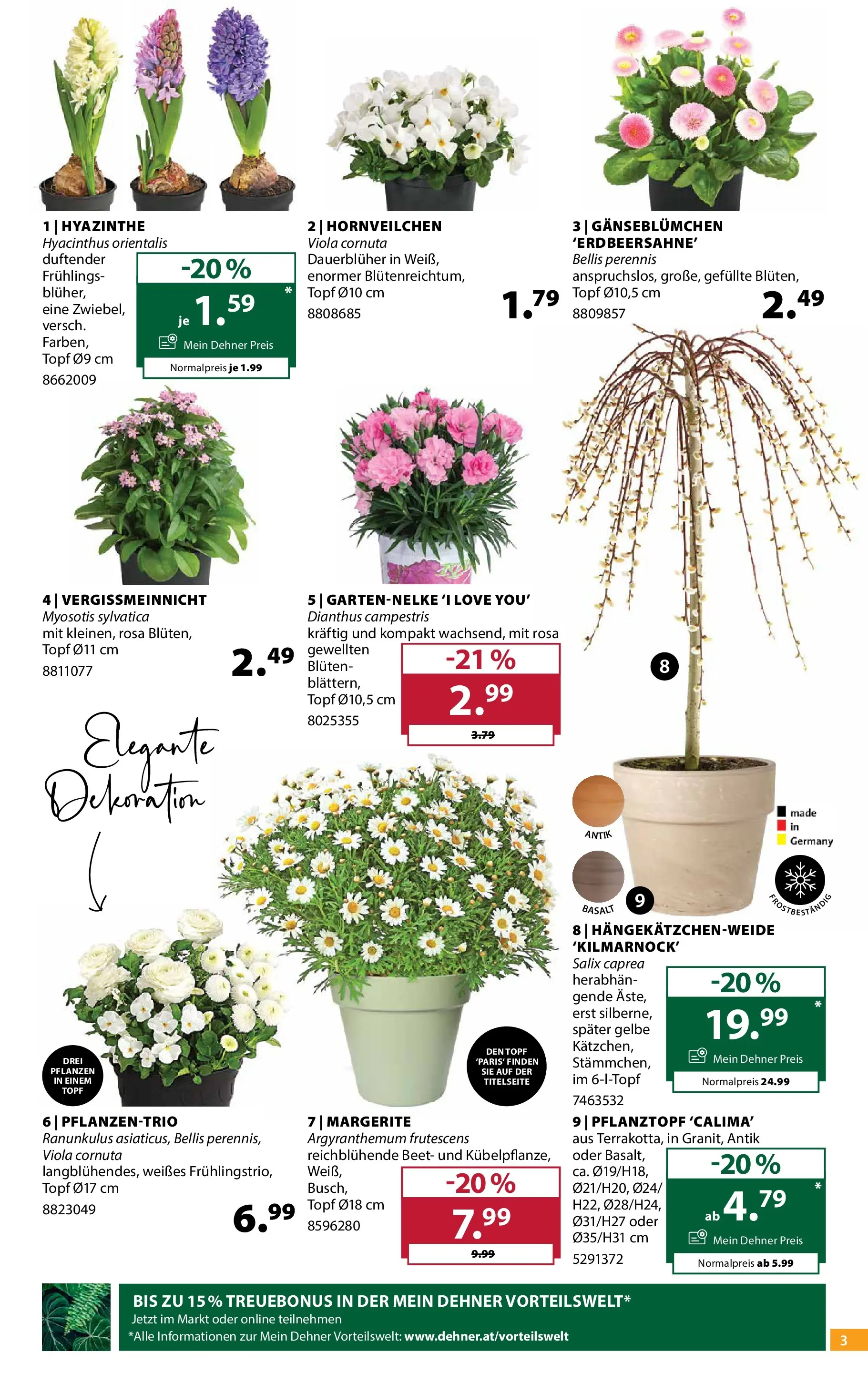 Dehner Garten & Zoo von 11.03.2026 - Aktuelle Angebote | Seite: 3