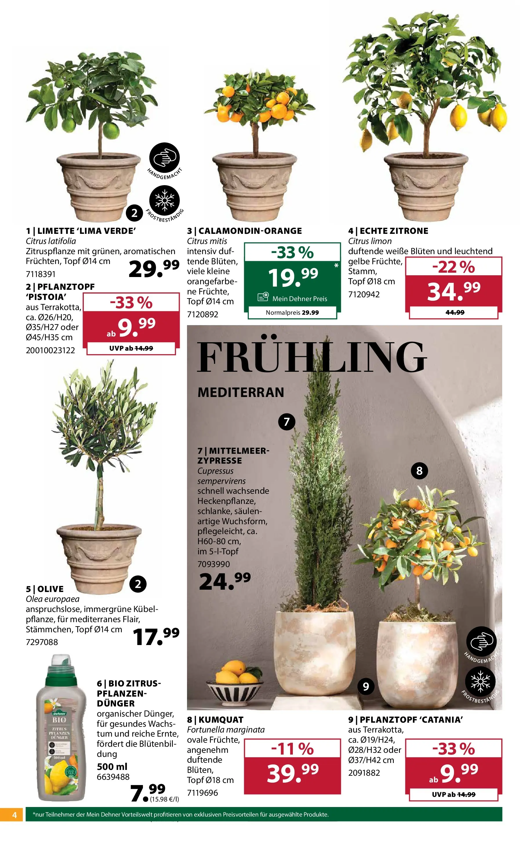 Dehner Garten & Zoo von 11.03.2026 - Aktuelle Angebote | Seite: 4