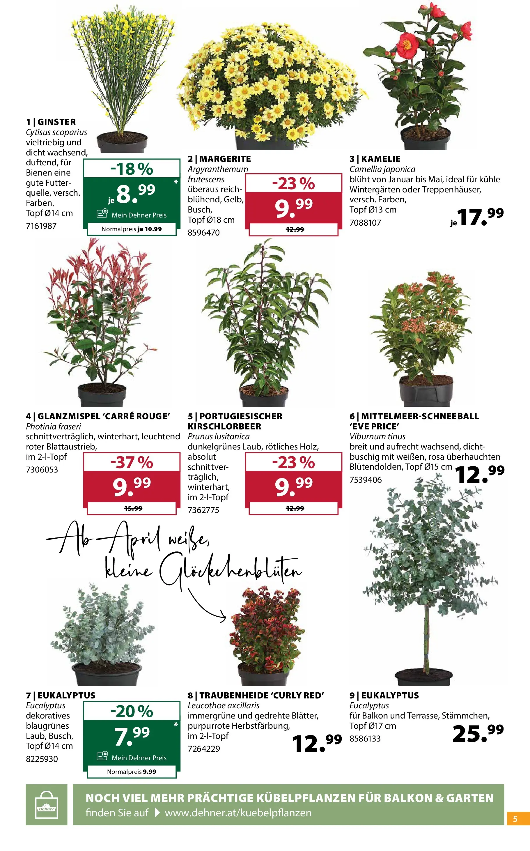 Dehner Garten & Zoo von 11.03.2026 - Aktuelle Angebote | Seite: 5