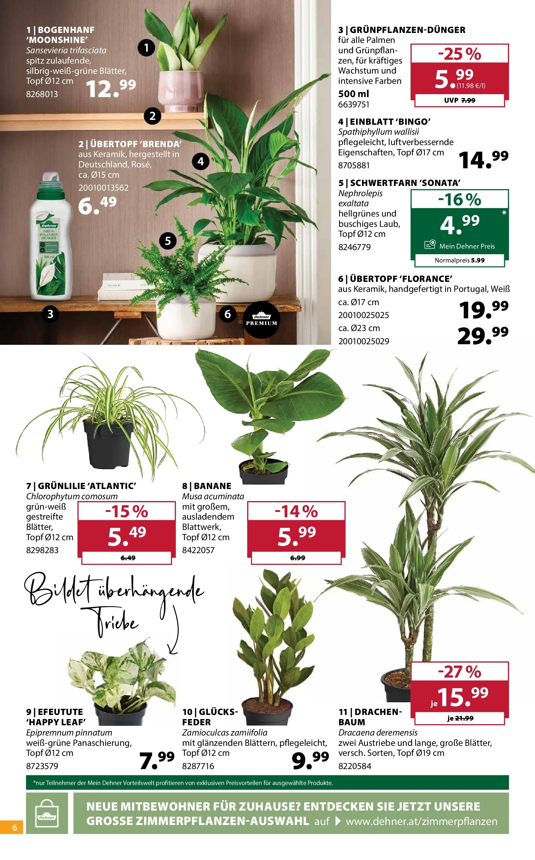 Dehner Garten & Zoo von 11.03.2026 - Aktuelle Angebote | Seite: 6