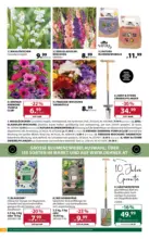 Dehner Hohenems Dehner: Garten & Zoo - bis 16.03.2026