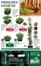 Dehner Hohenems Dehner: Garten & Zoo - bis 16.03.2026