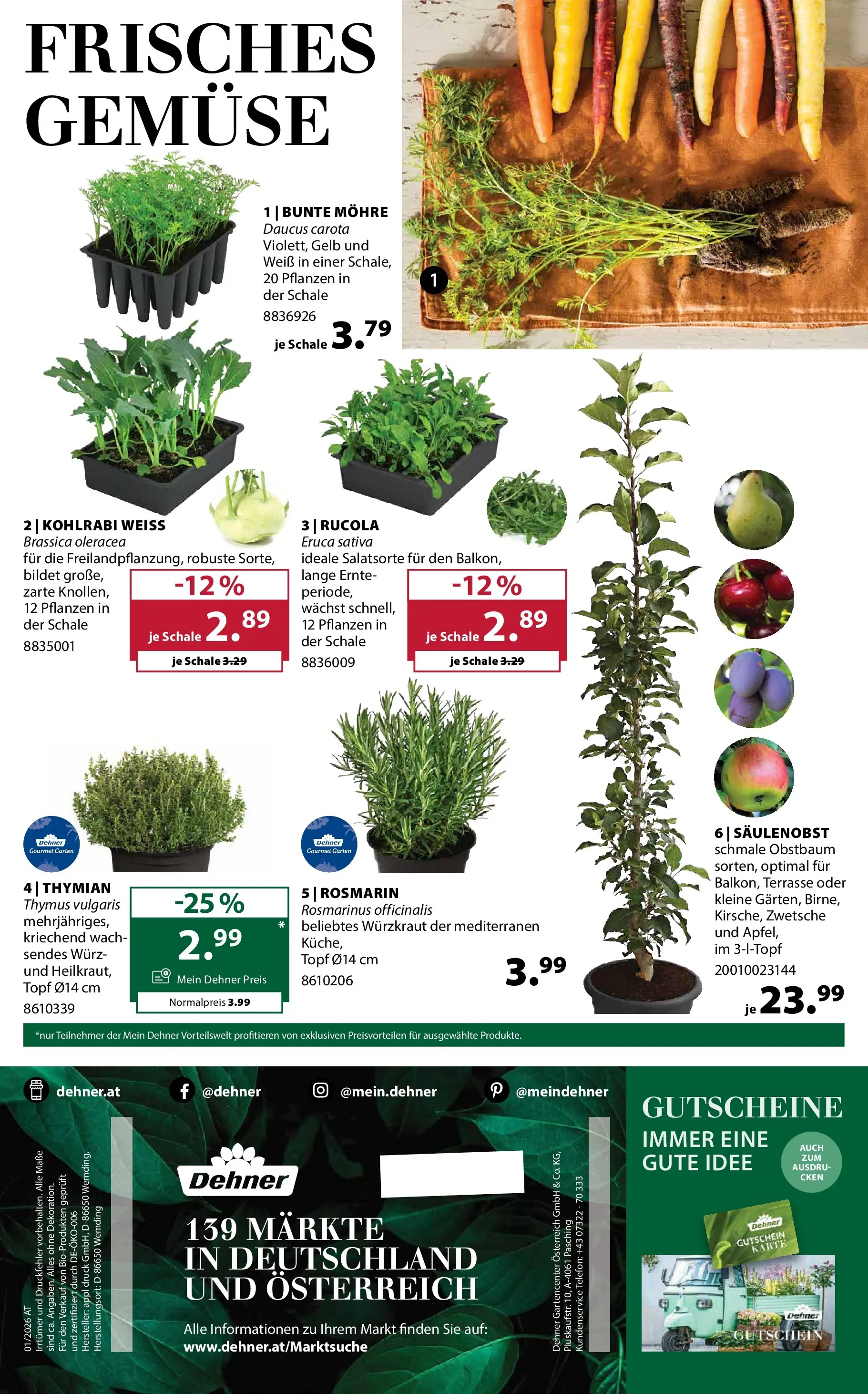 Dehner Garten & Zoo von 11.03.2026 - Aktuelle Angebote | Seite: 16