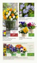 Pflanzen-K&ouml;lle: F&uuml;hlingserwachen