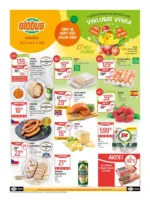 Globus Tady se sv&eacute;t toč&iacute; kolem v&aacute;s! Plat&iacute; od 11. 3. do 17. 3. 2026 &ndash; do 17.03.2026