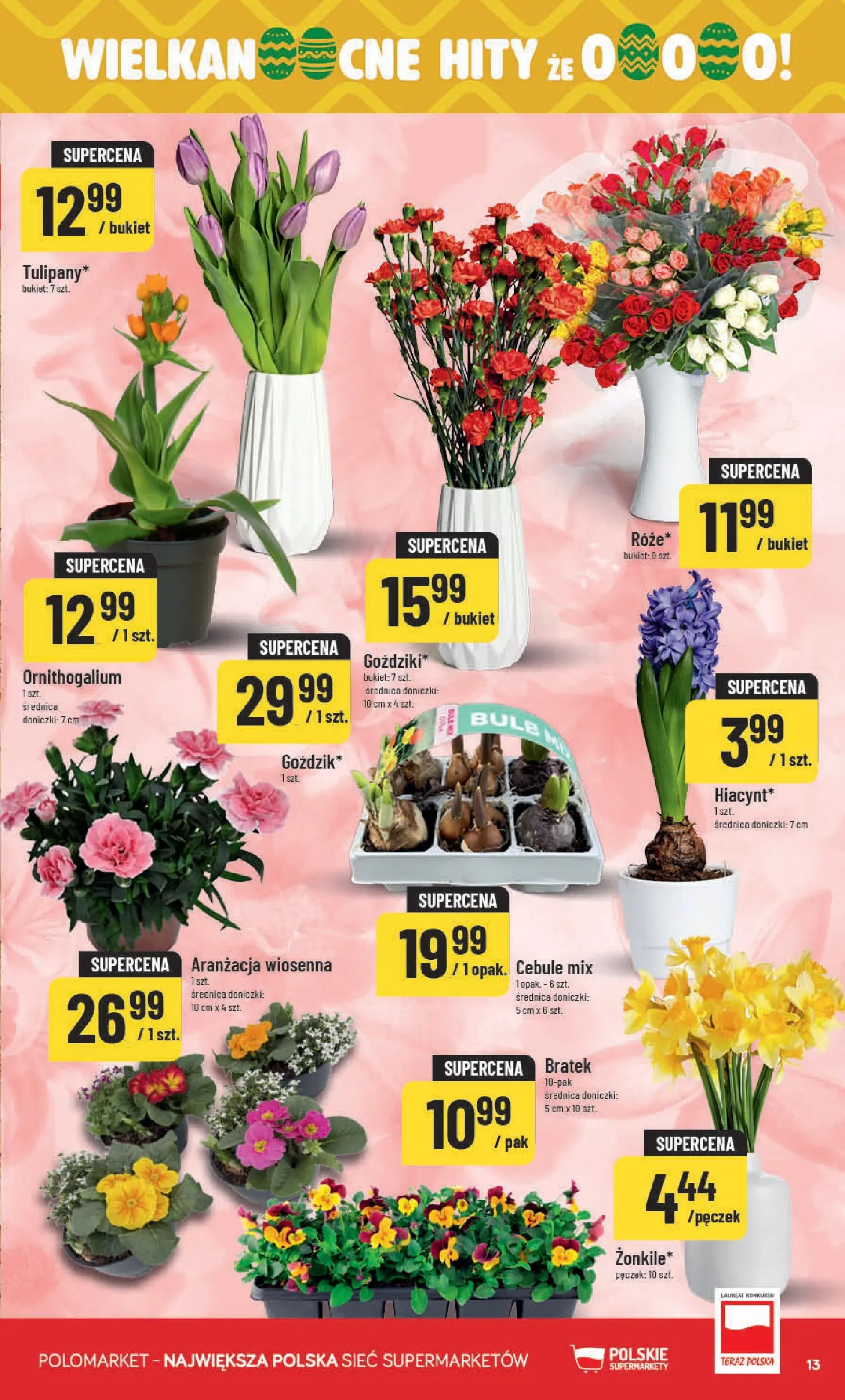 Nowa POLOmarket gazetka od jutra 11.03.2026 (PDF) | Strona: 13 | Produkty: Doniczki, Cebule