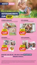 HOFER HOFER: Flugblatt - ab 27.03.2026