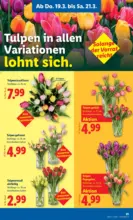 Lidl Lidl - ab 19.03.2026