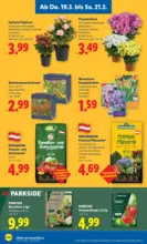 Lidl Lidl - ab 19.03.2026