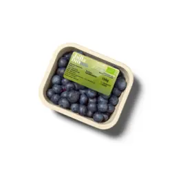 BILLA Bio Heidelbeeren