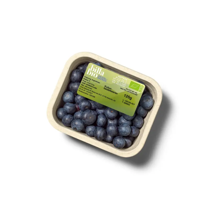 BILLA Bio Heidelbeeren