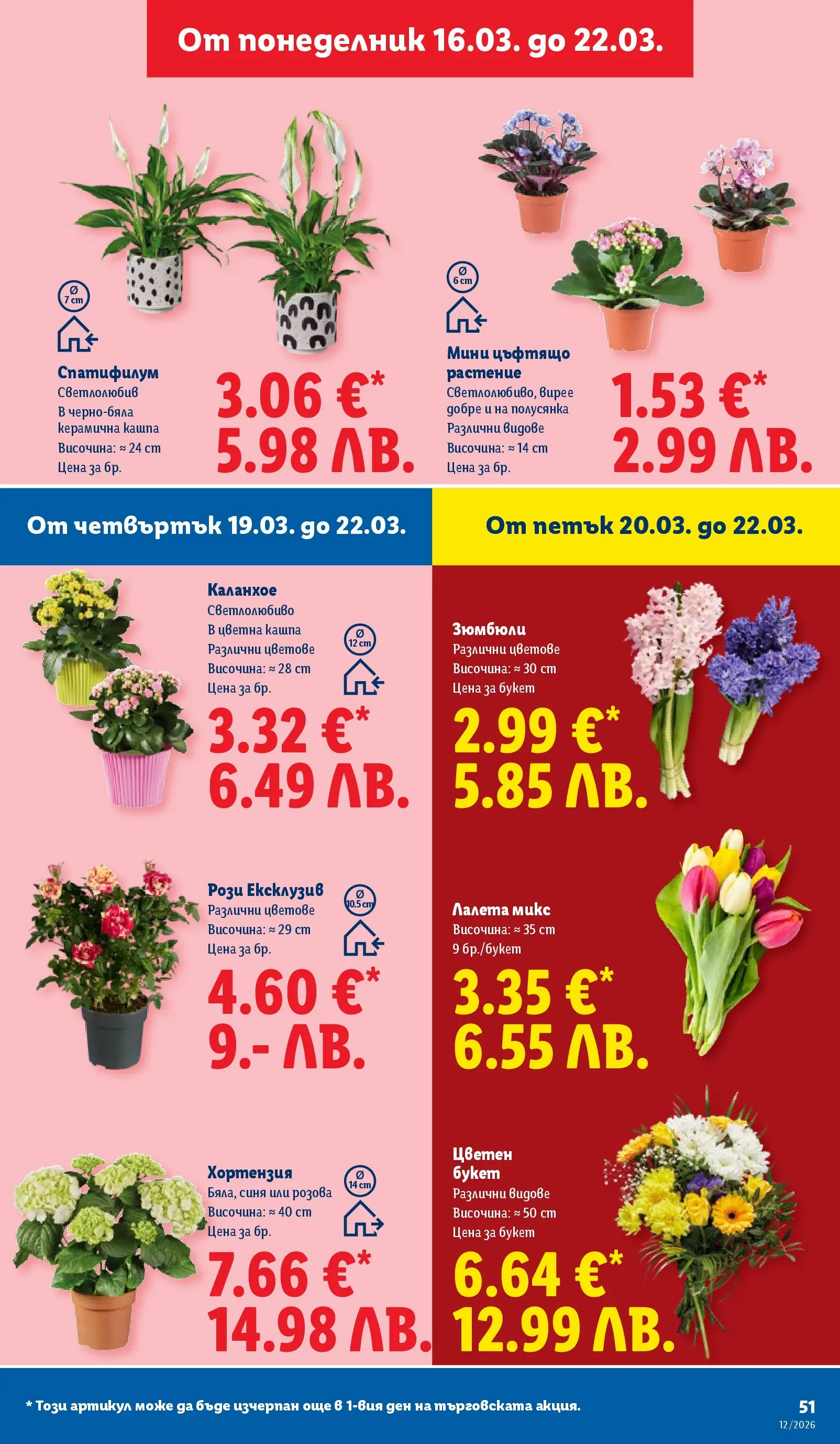 Лидл - Направи празника специален с ЛИДЛ предложения с валидност до 22.03.2026 от 15.03.2026 | Страница: 51