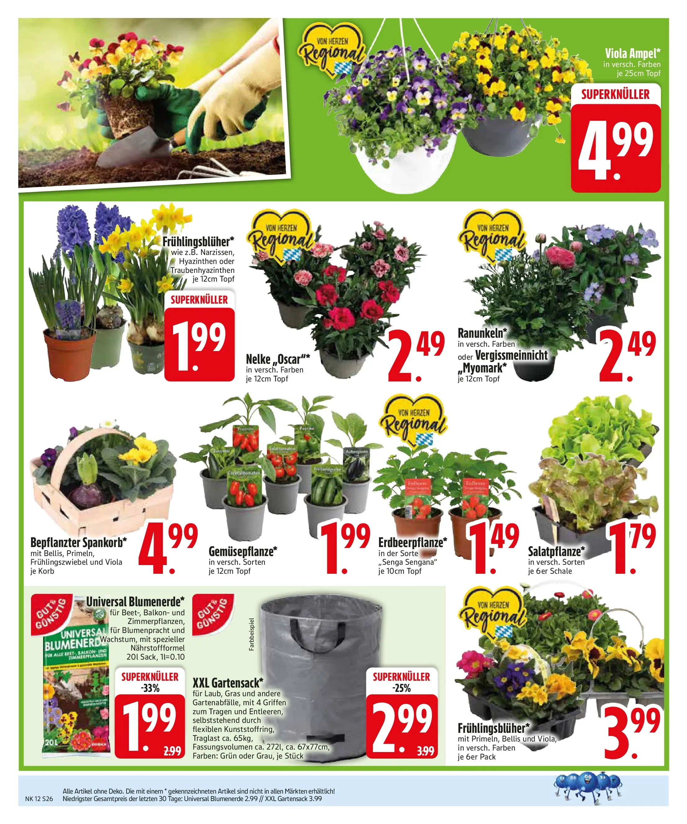 Edeka prospekt Garching	 (ab 15.03.2026) » Angebote Online | Seite: 26 | Produkte: Frühlingszwiebel, Korb, Blumenerde