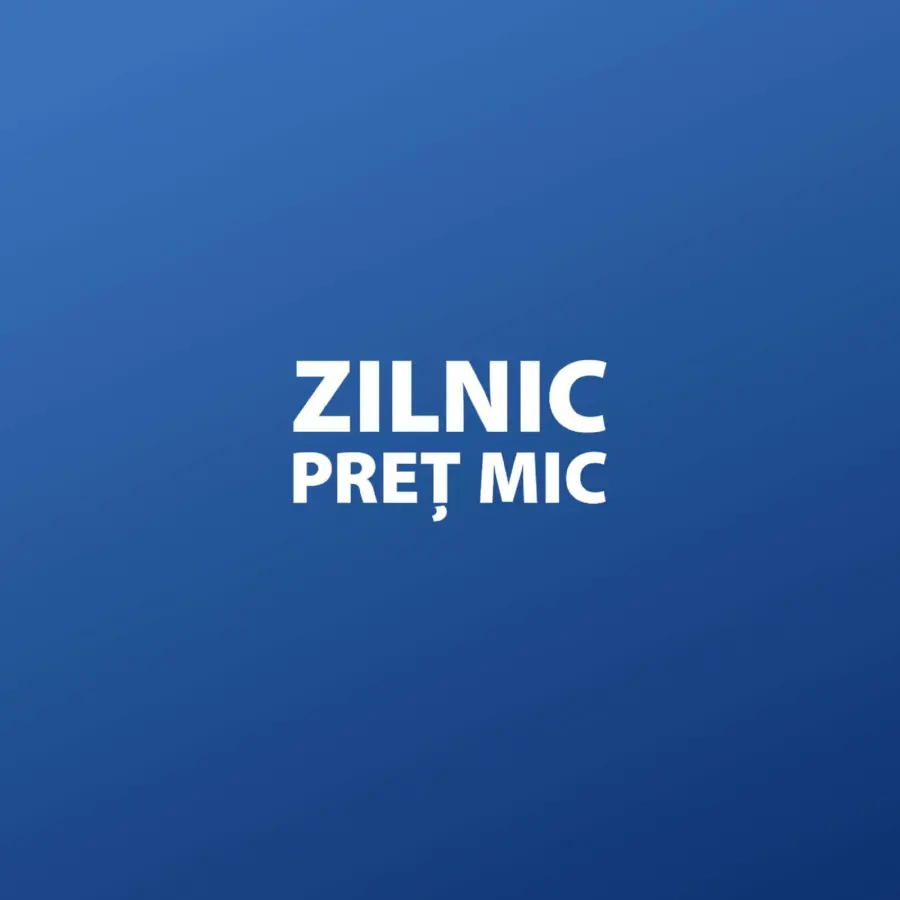 ZILNIC PRETURI MICI