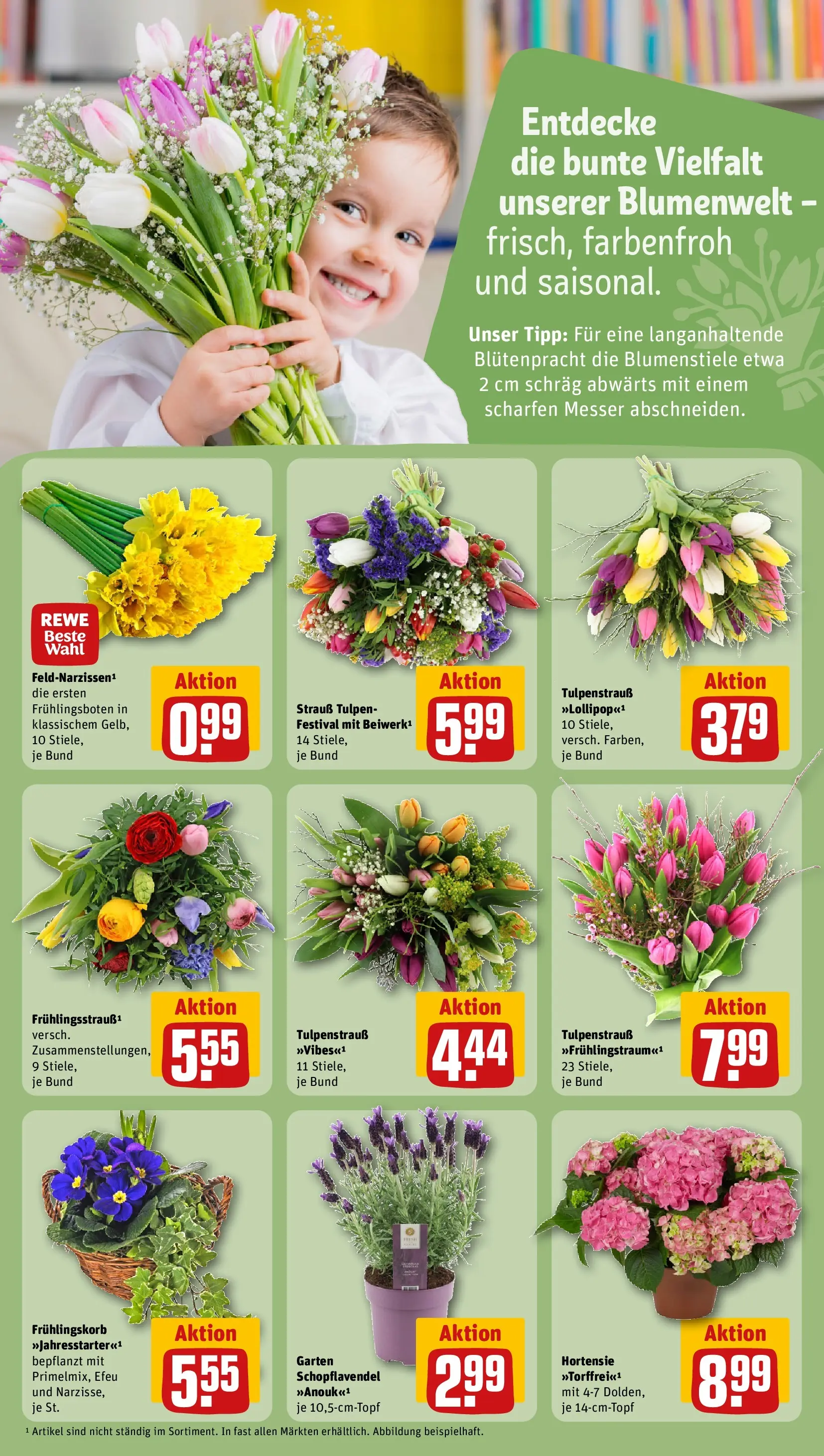 REWE Prospekt ab 15.03.2026 zum Blättern » Angebote | Seite: 21 | Produkte: Hortensie