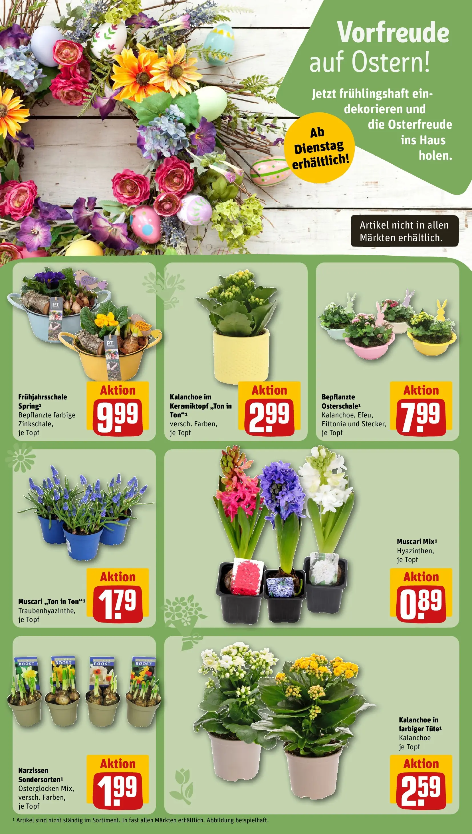 REWE Prospekt ab 15.03.2026 zum Blättern » Angebote | Seite: 11