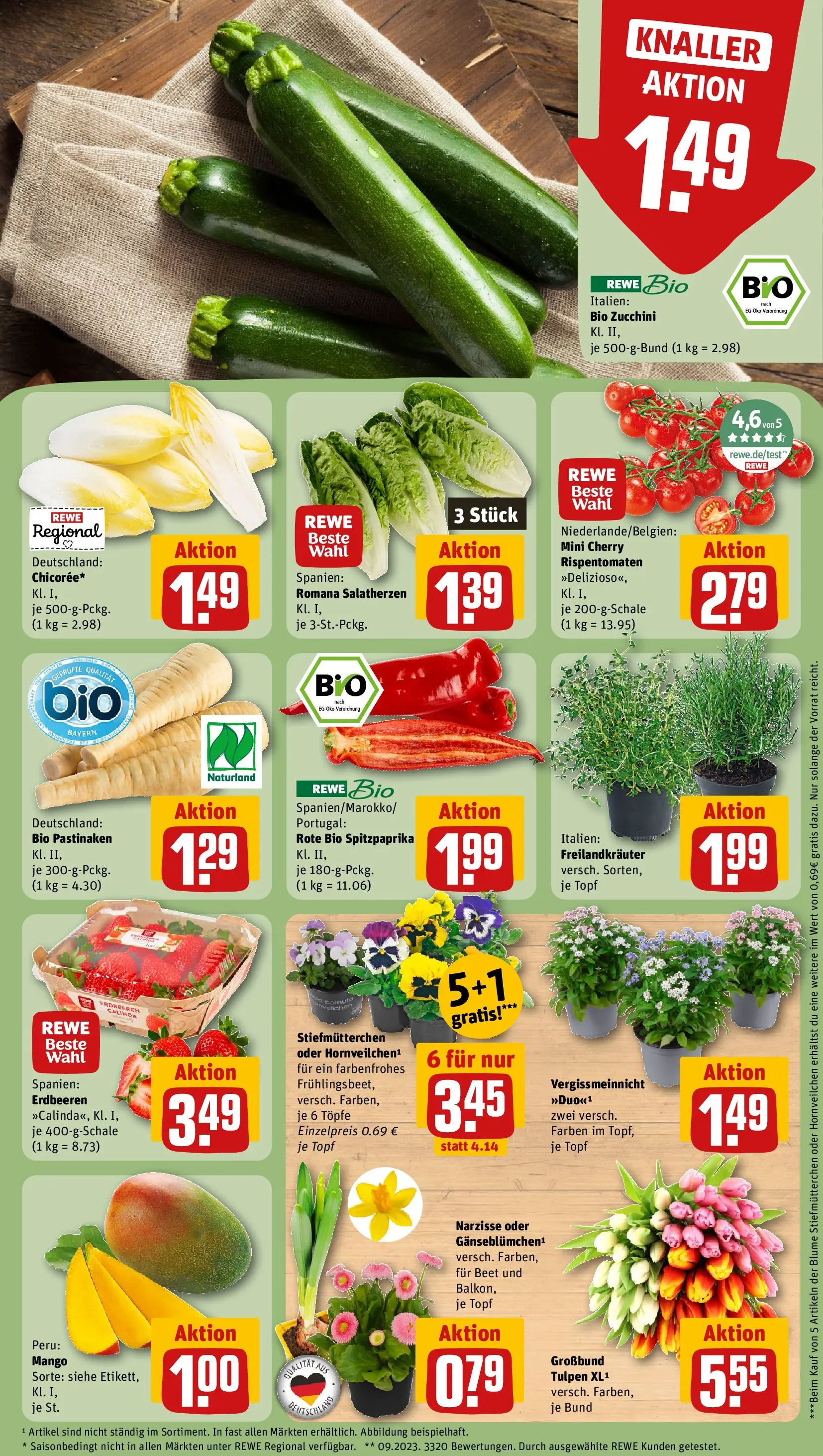 REWE Prospekt ab 15.03.2026 zum Blättern » Angebote | Seite: 9 | Produkte: Stiefmutterchen, Mango, Zucchini, Erdbeeren