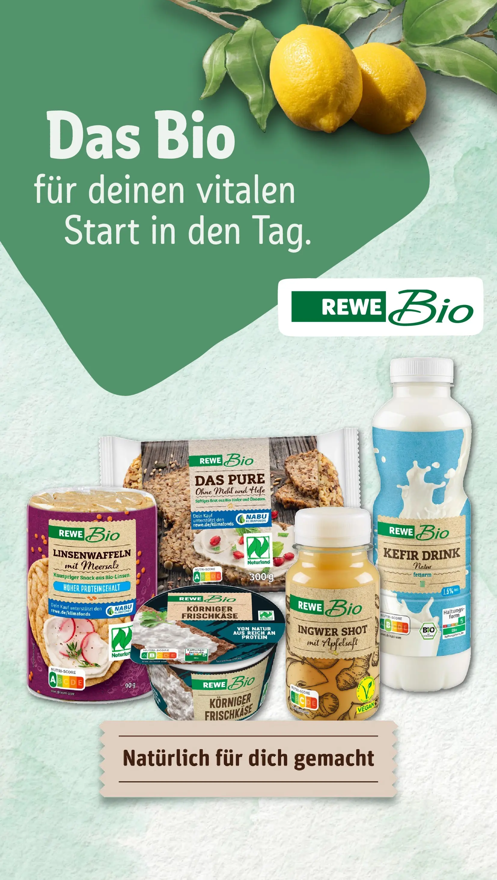 REWE Prospekt ab 15.03.2026 zum Blättern » Angebote | Seite: 21 | Produkte: Kefir, Apfelsaft, Brot, Frischkase