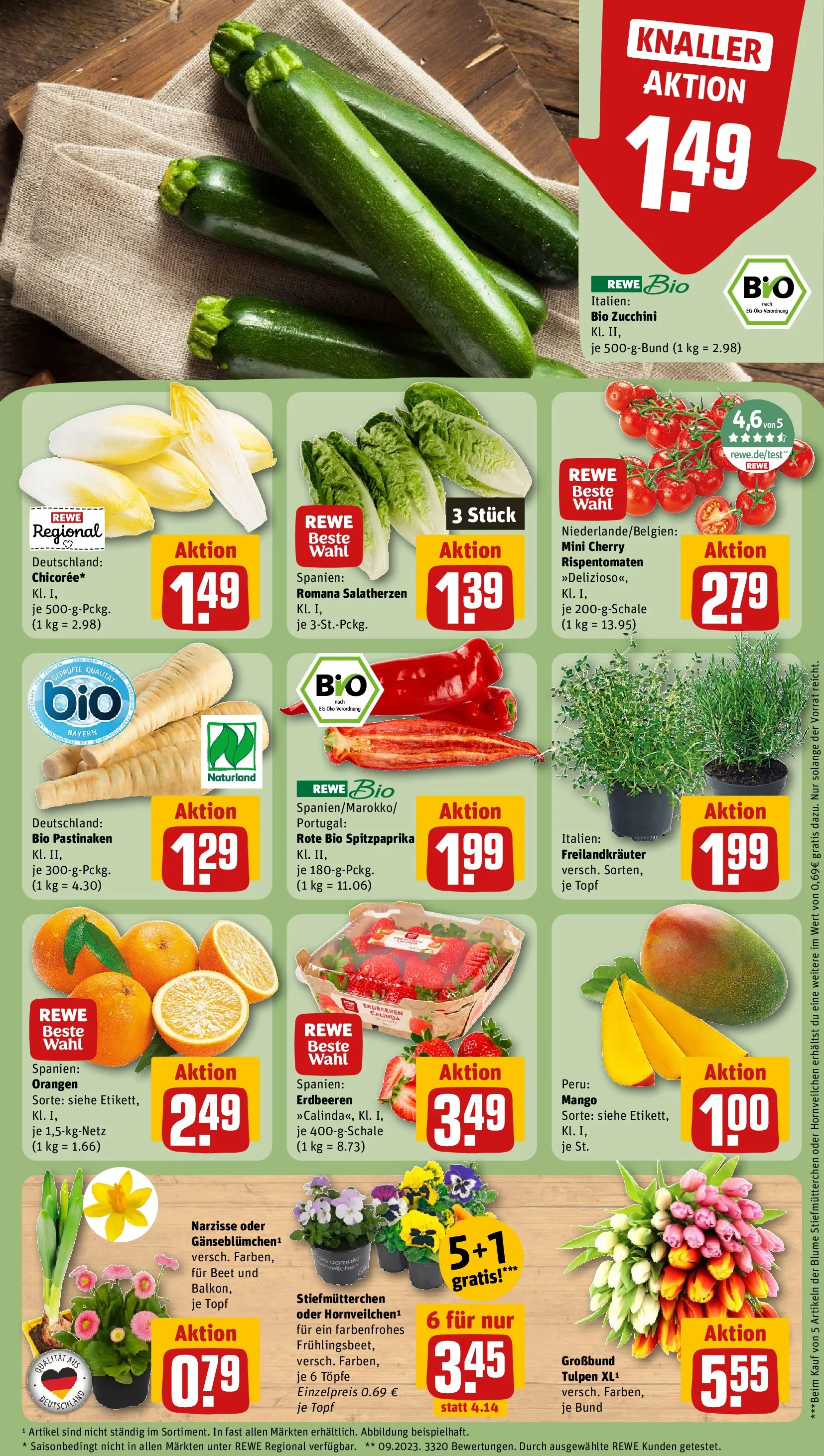 REWE Prospekt ab 15.03.2026 zum Blättern » Angebote | Seite: 9