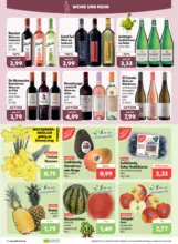 aktiv-irma Angebote 16.03. - 21.03.2026