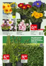 BAUHAUS: Aktuelle Angebote