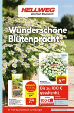 HELLWEG Hellweg: Wochenangebote - bis 25.03.2026